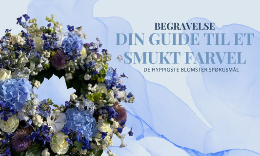 Hvilke blomster giver man til en begravelse?