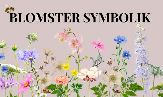Blomsters Betydning: En Guide til at Afsløre Skønheden og Symbolikken bag 20 Unikke Blomster