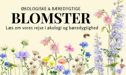 Økologiske og Bæredygtige Blomster fra Flora Nordica