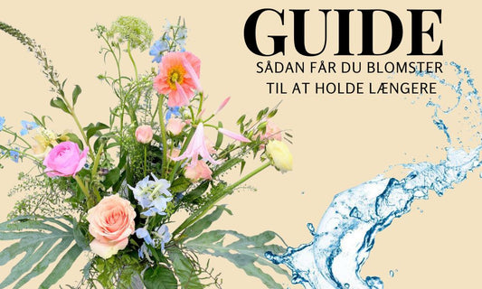 Sådan får du blomster til at holde længere