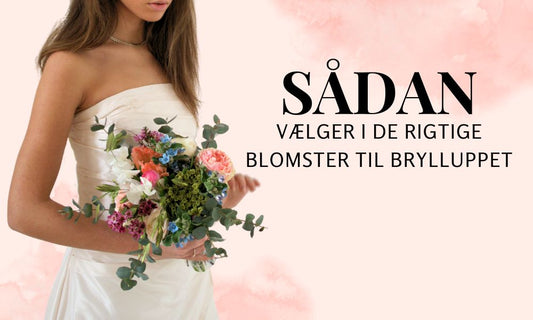 Hvilke blomster er gode til bryllup?