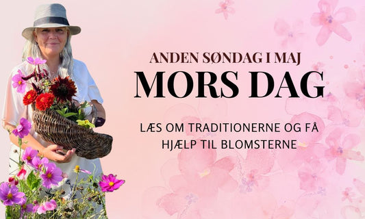 Læs om Mors Dag gaver, traditioner og hvorfor vi fejre den