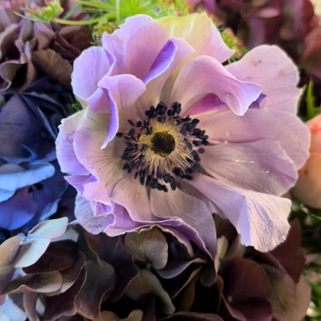 Kistepynt i Blå og Lilla "Himmelstrøg" Blå og lilla er farver, der ofte forbindes med ro, dybde og eftertænksomhed. I en tid, hvor man siger farvel, kan disse nuancer bringe en følelse af fred og refleksion. Vores Kistepynt "Himmelstrøg" er designet med netop denne tanke i baghovedet.