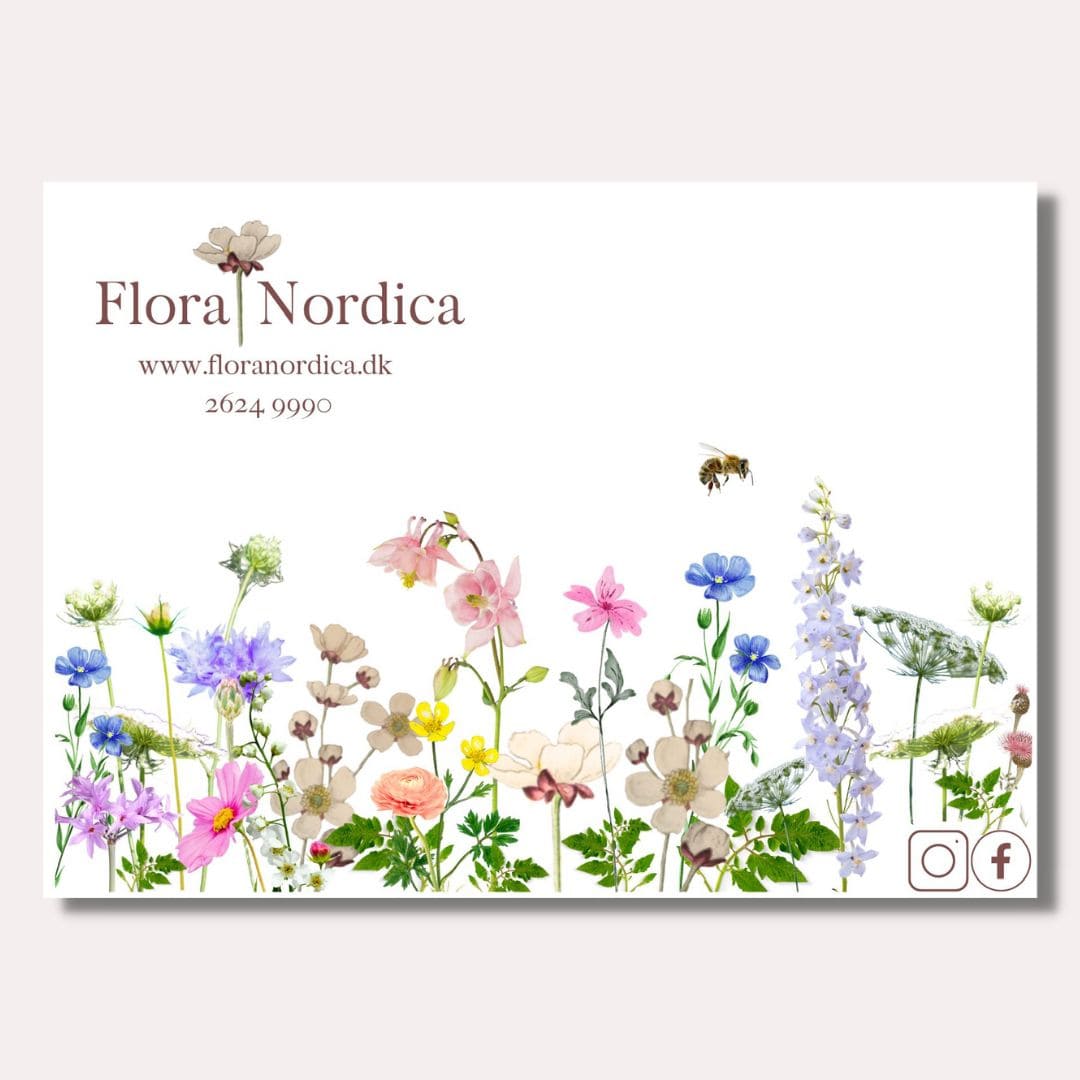 flora nordica - kort - korttekst