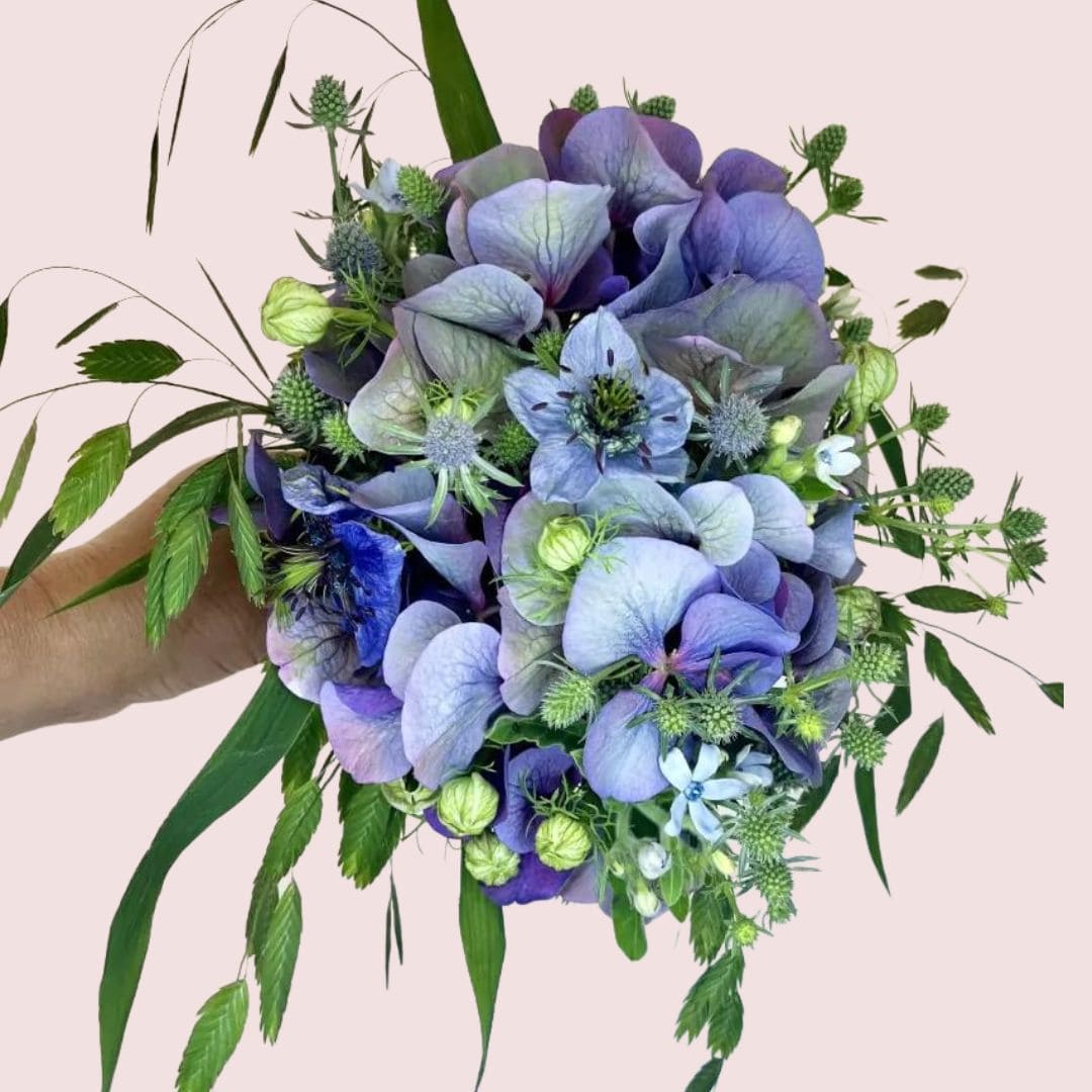 Hortensia buket med blå blomster